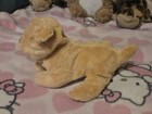 Furreal Friends 8    Interactive Newborn Puppy Plush 2008 Works