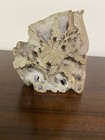 Vintage Soap Stone Planter