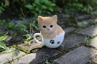 Teacup Kitten Statue Orange gray Garden Statue  Garden Decoration  Home Decor