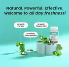 3pack Deos Internal Deodorant Supplement     Full Body Deodorizer -free Shipping