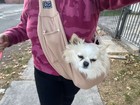 Pet Sling Carrier Bag Dog Cat Crossbody Shoulder Travel Bag