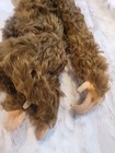 Vintage 1950s German Steiff Mohair Jocko Chimpanzee Monkey Toy W  Squeaker 18in