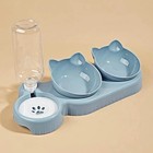 Automatic Pet Feeder Food Bowl With Water Dispenser Large Capacity For Cat   Dog