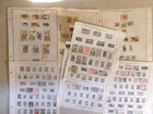 1000s Of Czechoslovakia Stamps On Pages 5 Lbs Collection Accumulation Lot  780