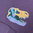 Bonobos Crewneck Pullover  T-rex Sweatshirt Mens L Maroon Fleece Embroidered