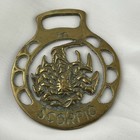 Brass Horse Medallion Vintage English Scorpio Water Zodiac Show Parade Harness