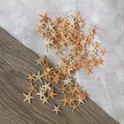 Tiny Size Dried Real Starfish Flat Sea Star Ornament Crafts Decorations 25 Pcs