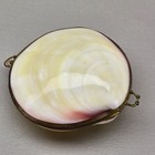 Vintage Mother Of Pearl Shell Trinket Box Hinged Jewelry Ring Box Coastal