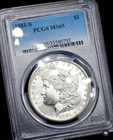 1881 S Morgan Dollar Ms65 Terminal Toned