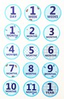 Monthly Baby Boy Stickers  Milestone Baby Stickers  Watch Me Grow  15 Stickers 