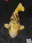 Vintage Steiff Fish With Amber Eyes  No Button 