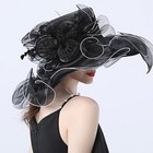 Black Organza Kentucky Derby Hat Wide Brim Church Dress Fedoras Hats Fascinator
