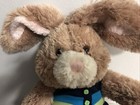 Build A Bear Babw Bunny Plush 17  Stuffed Rabbit Floppy Ears Dressed Top Pants