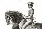 Horse Gidran Transylvanian  Very Rare Antique 1840s Fine Copper Engraving Print