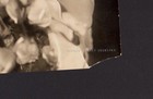 Violet Heming Sexy Actress 1918 Orig Photo By Alfred Cheney Johnston Oversize