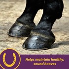 Vita Biotin Crumbles Horse Hoof Supplement  Helps Maintain Healthy  Sound Hoo   