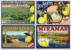 4 Original Lemon Crate Labels Vintage 1920   1930s Santa Barbara Montecito