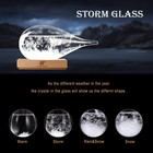 Storm Glass Weather Station  Weather Forecaster  Drop-shaped Glass Barometer  Ch