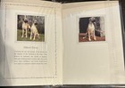 Great Dane Vintage  Greeting Cards By Otter House 1999 Pack Of 6