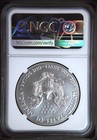 2017 W Bullion Silver Eagles Ngc Ms-70 W Burnished Silver Eagle