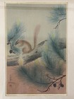 Bakufu Ohno Japanese Woodblock Print Squirrel On Pine Branch Signed Seal Framed
