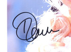Sexy Beautiful Pamela Anderson Autographed Portrait Photo Authentic Hand Signed