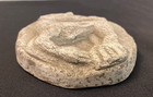 Historic Cast Impression Round Plaque Circa 1994