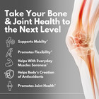 Pain Relief Ultra Joint Health Support   12 Bottles  Official Joint Formula