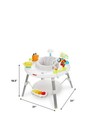 Skip Hop Baby Interactive Play Activity Center  4mo 