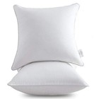  18x18 Inch Throw Pillow Inserts  set Of 2  - Decorative Pillows For Sofa  Bed 