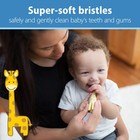 Dr  Brown s Infant-to-toddler Toothbrush  Giraffe 1 Count  pack Of 1   Yellow