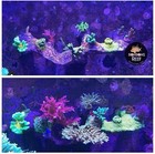 Original Aquarocks Magnetic Coral Frag Rock Saltwater Reef Aquarium Frag Rack
