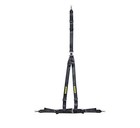 Schroth Racing Sr14100 Schroth Rallye 3 Asm Blk Left W sil Letters