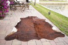 Brindle Rodeo Cowhide Rug Hair On Authentic Leather Rug Size Approx 6x7 Ft 