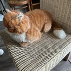 Applause Plush Cat 15  Avanti Jockline Orange Striped Tabby Kitty 1985 Vintage