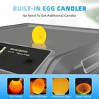 Incubators For Hatching Eggs - Egg Incubator With Automatic Egg Turning And H   