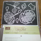 Stampin Up  Stamp   Die Set  Thoughtful Branches