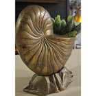 Vintage Brass Nautilus Shell Planter Vase Aged Patina Coastal Decor