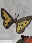 Vintage 1996 Tm Butterfly Figure Toy Lot Rubber Plastic Beauties  Animal Insect