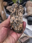 13 8oz Brecciated Jasper Rough For Lapidary Or Display