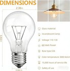 60 Watt Incandescent Light Bulbs  A19 Clear 60w Bulb E26 Medium Base Shatter