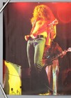 Led Zeppelin     Mega Rare Original 1970s Warner-pioneer swan Song Promo Poster