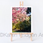 Aceo Atc Art Card Painting Print Signed    cherry Blossom    Airlie Gardens Spring