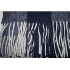 Cos Blue Grey Buffalo Plaid 100  Wool Scarf Wrap Checkered Fringe Tassel