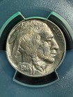 1914 Buffalo Nickel Pcgs Au55