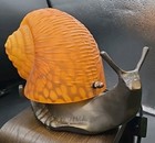 Vintage Amber Tiffany Style Glass   Brass Snail Table Night Light Lamp 9lx5wx6h
