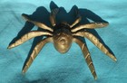 Very Scary Lifelike Vintage 1920s Eight Legged Brass Spider   