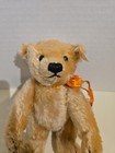 Steiff Celebration Book Bear 665325  Led 3000 1997 Steiff Club Usa 