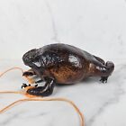 Taxidermy Mexican Folk Art Frog Toad Coin Purse Pouch 