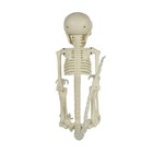 21  Black Light Posable Monkey Skeleton Statue Halloween Haunted House Decor